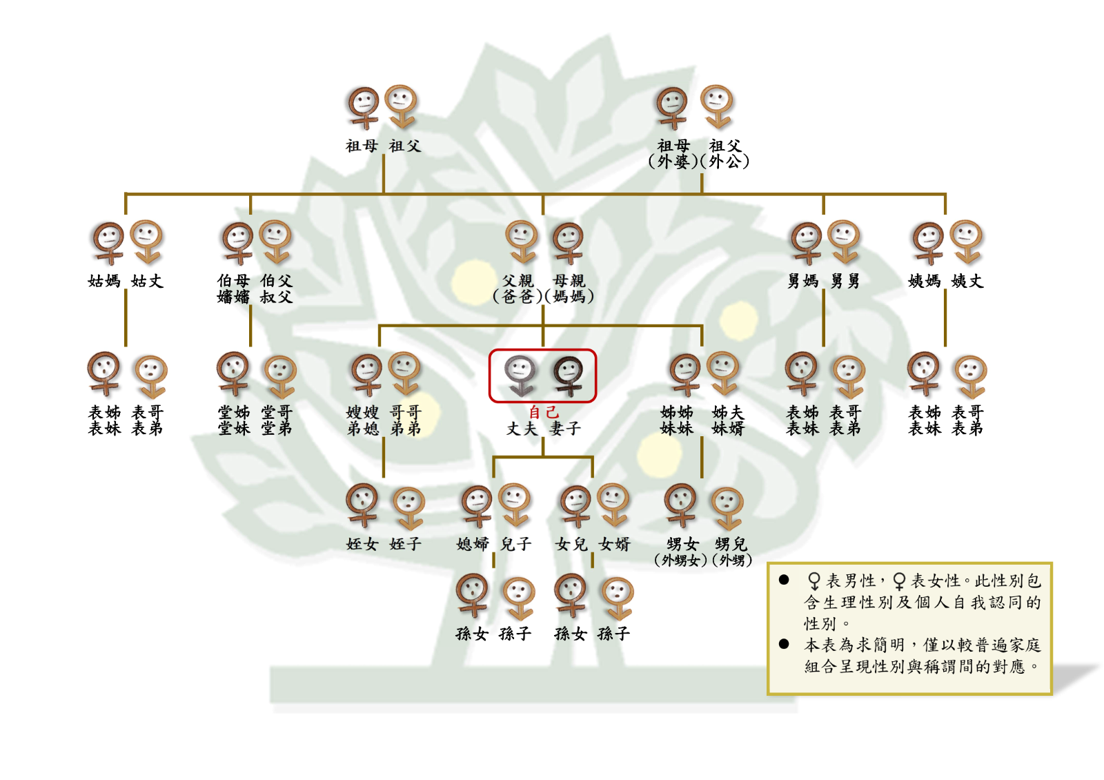 親屬關係圖