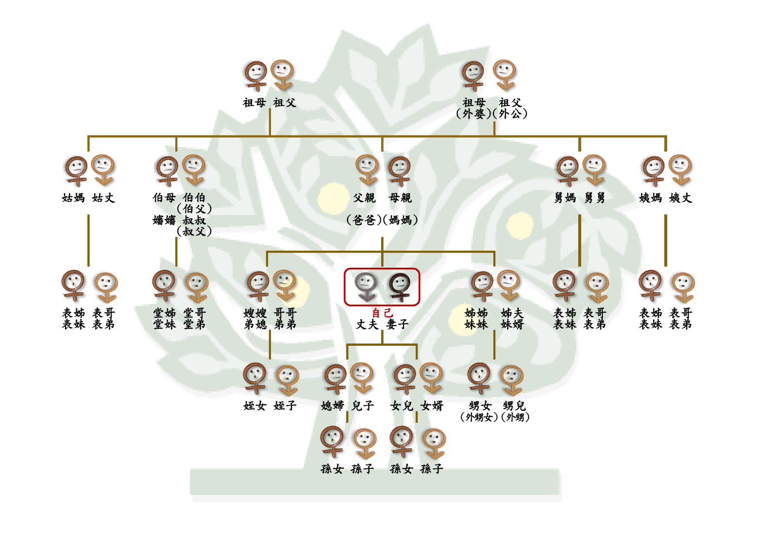 以樹狀圖呈現五個世代中較為親近的親屬關係圖。